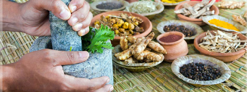 ayurveda herbs and roots